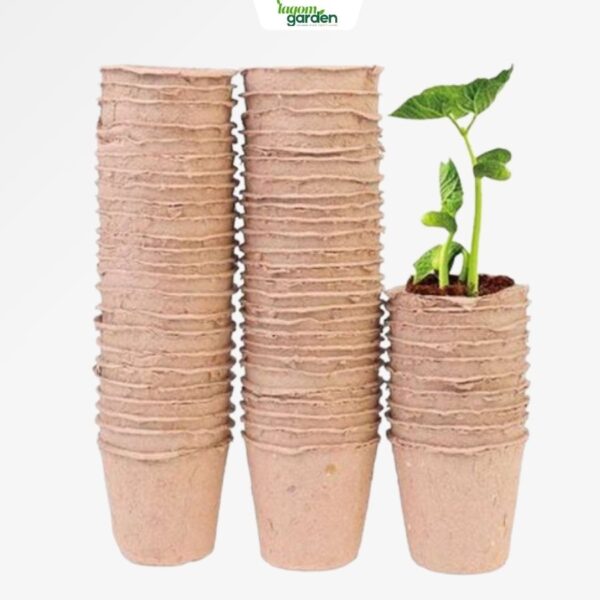 Chậu giấy ươm hạt giống hữu cơ tự phân hủy (Lốc 10)