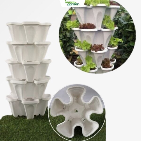 Chậu trồng cây bông mai - chậu tháp trồng cây