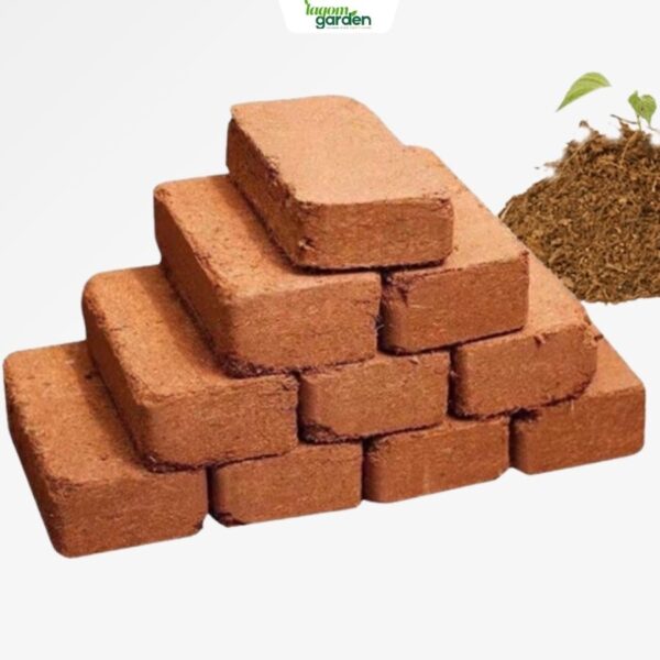 Viên đất nén trồng cây 500 gram