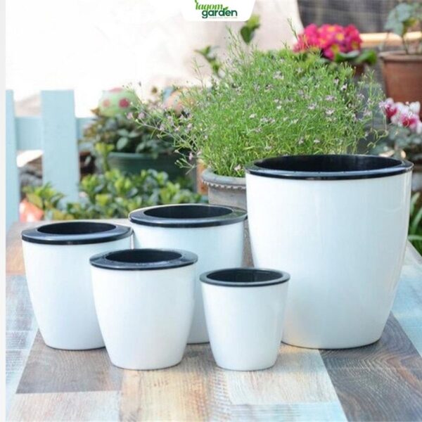 Chậu cây tự tưới trong suốt thông minh