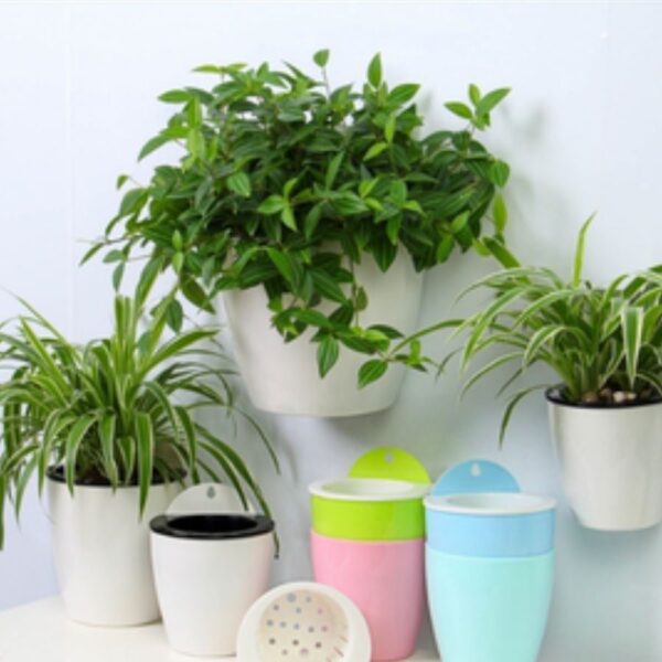 Chậu cây tự tưới áp tường thông minh cao cấp