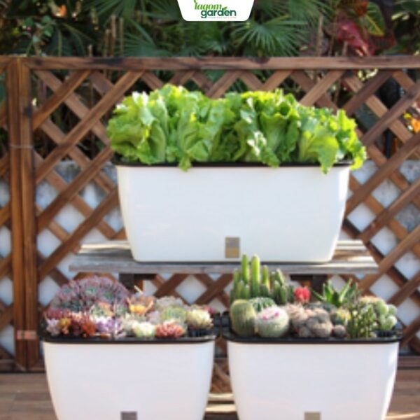 Chậu cây tự tưới hình chữ nhật thông minh cao cấp