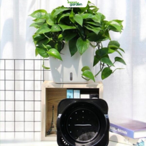 Chậu cây tự tưới hình vuông thông minh cao cấp